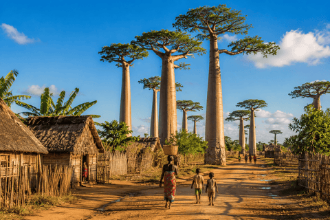 eSIM Madagascar