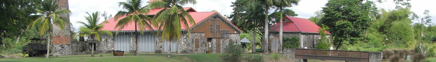 eSIM Martinique Unlimited