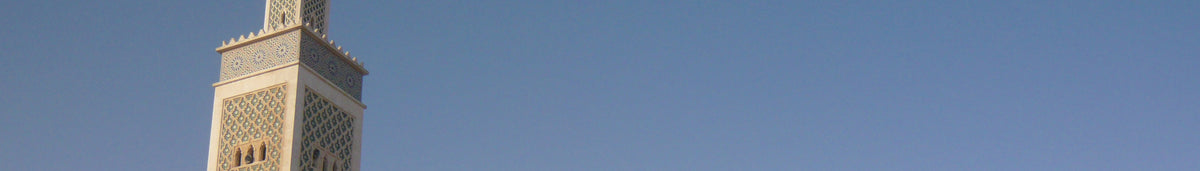 eSIM Mauritania Unlimited