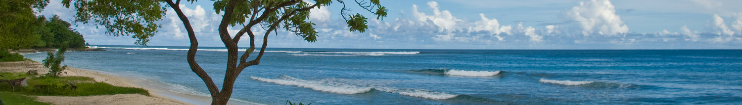 eSIM Vanuatu