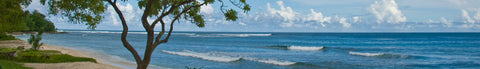 eSIM Vanuatu